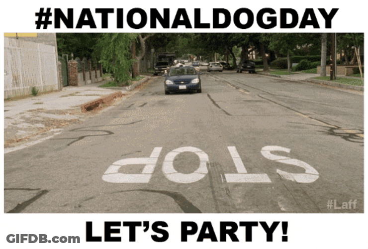 National Dog Day Let's Party GIF