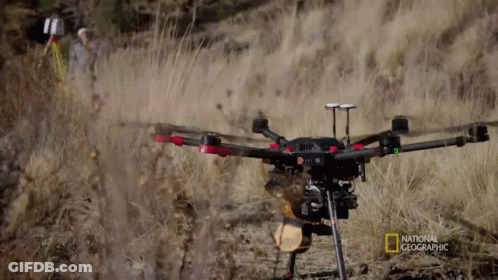 National Geographic Drone Flying In Grass GIF