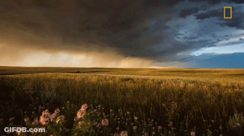 National Geographic Field Stormy Sky GIF