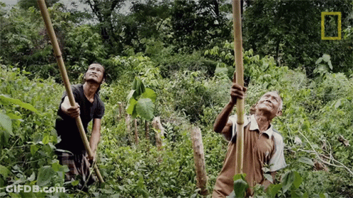 National Geographic Logo In Photo Corner GIF
