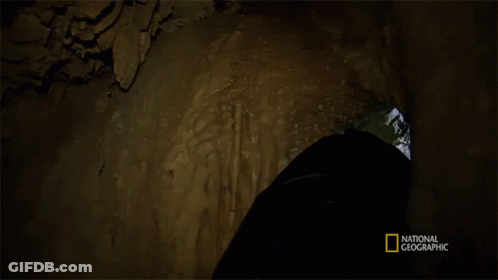 National Geographic Logo On Video Bottom GIF
