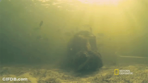 National Geographic Man Swimming In Water GIF