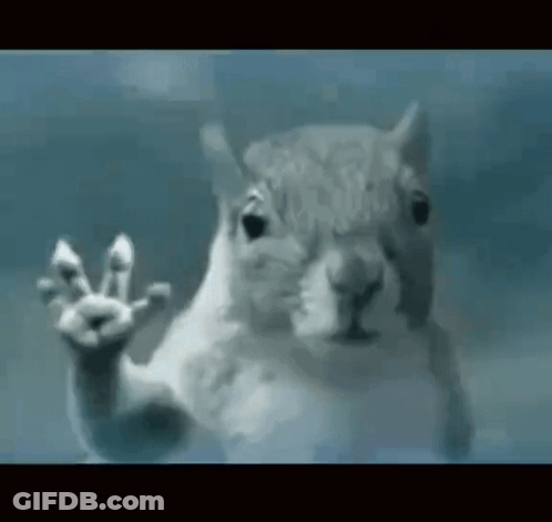 National Geographic Wild Bird Flying In Dark GIF