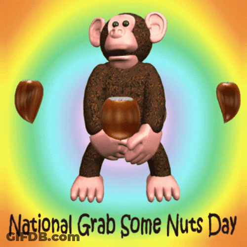 National Grab Some Nuts Day GIF