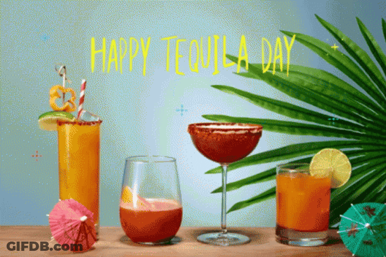 National Happy Tequila Day GIF
