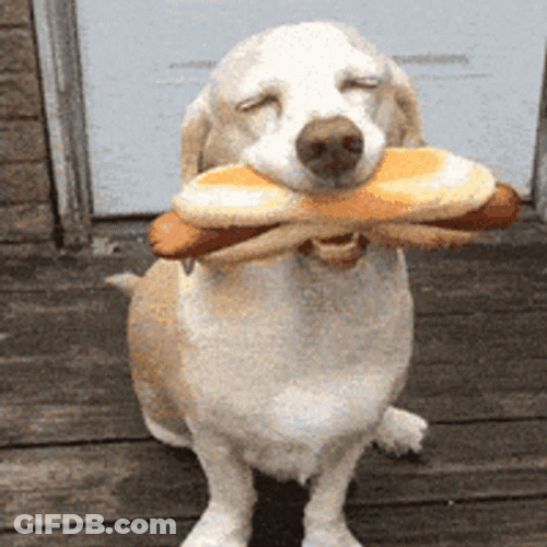National Hot Dog Day Pooch Biting Sandwich GIF