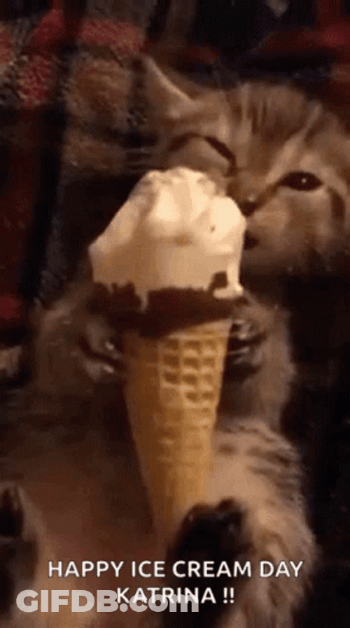 National Ice Cream Day Cat Licking GIF