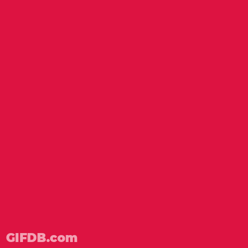 National Red Rose Day Poster GIF