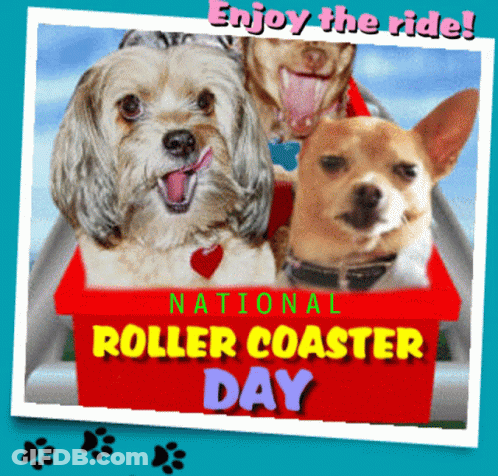 National Roller Coaster Day Happy Roller Coaster Day GIF