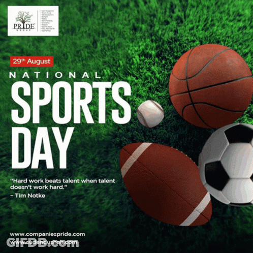 National Sports Day August 29Th Poster GIF