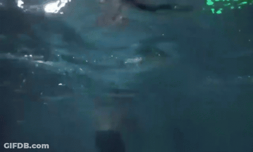 National Tequila Day Pool Party GIF