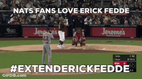 Nats Fans Love Erick Fedde #ExtendErickFedde GIF