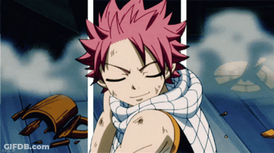 Natsu Dragneel Fairy Tail Anime Face Punched GIF