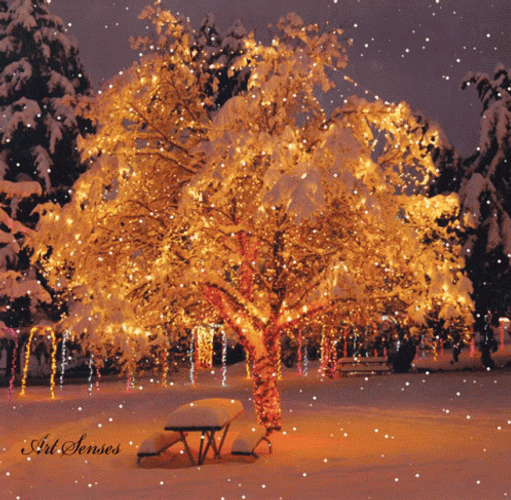 Natural Christmas Tree Snow Falling GIF