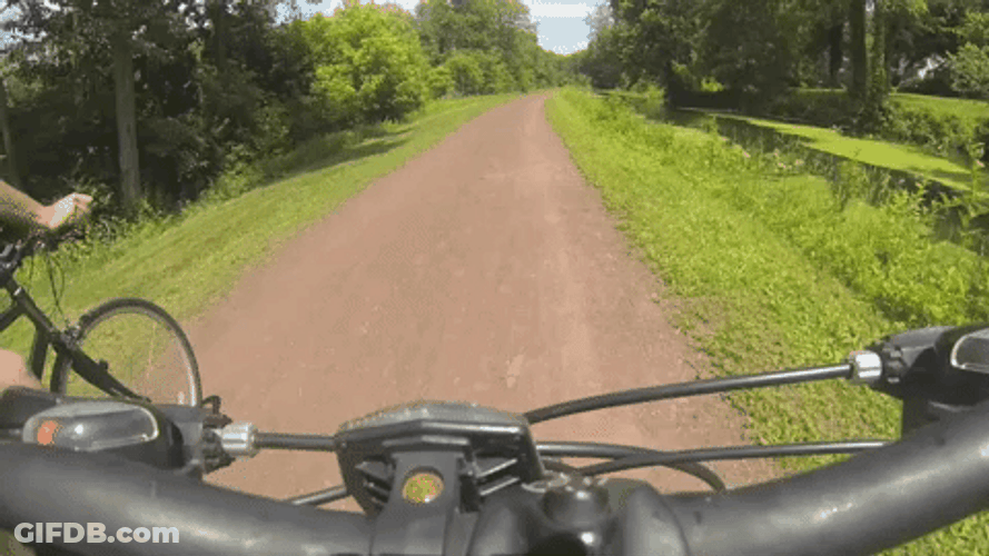 Nature Biking Experience GIF