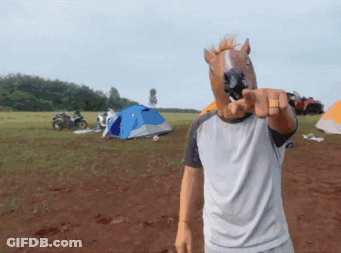 Nature Camping Horse Head Funny Dance GIF