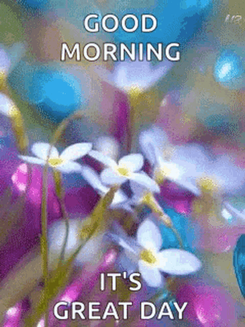 Nature Good Morning Butterfly GIF