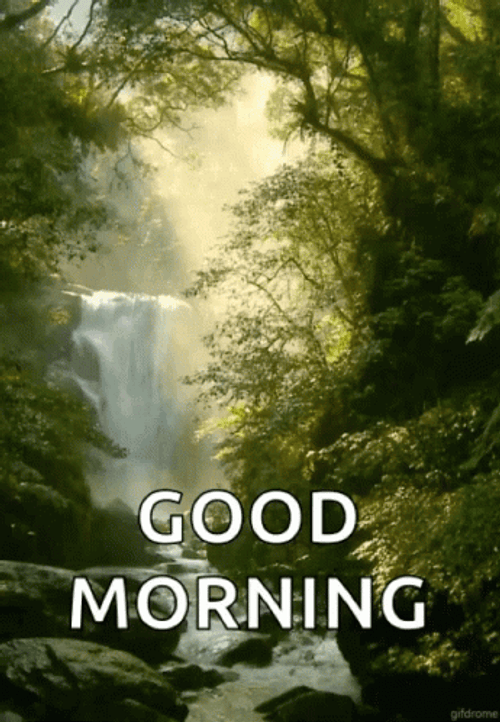 Nature Good Morning Forest Waterfalls GIF