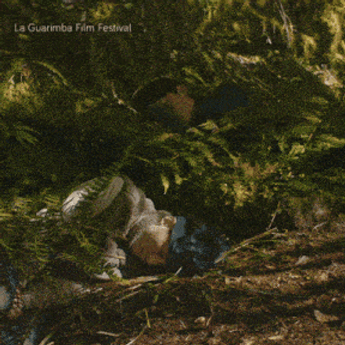 Nature Good Morning GIF