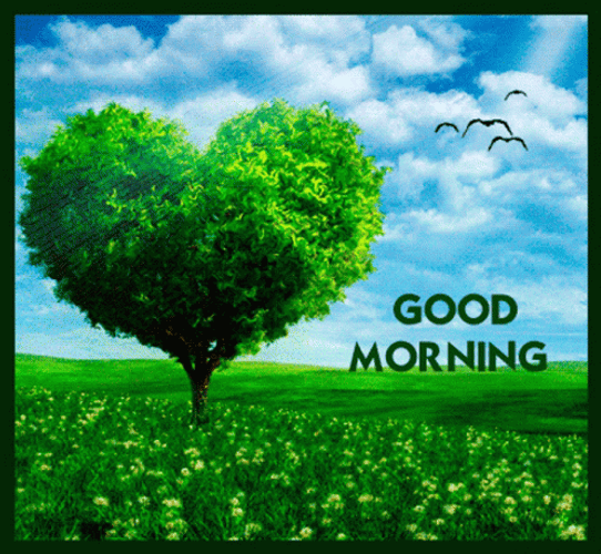 Nature Good Morning Heart Tree GIF