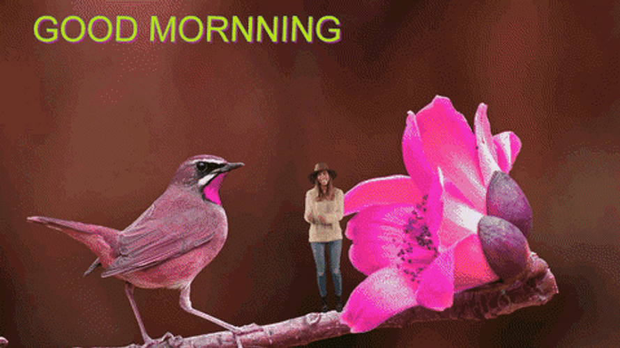 Nature Good Morning Neon Bird GIF