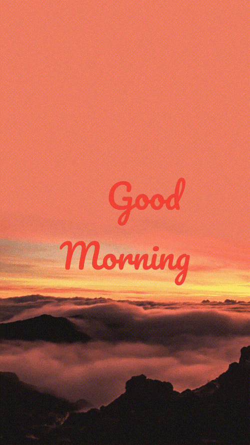 Nature Good Morning Orange Skies GIF