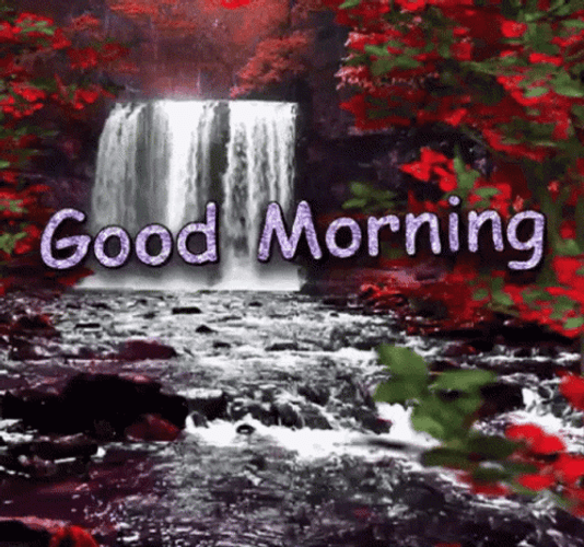 Nature Good Morning Red Garden GIF