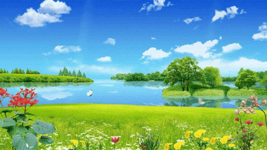Nature Landscape Background GIF