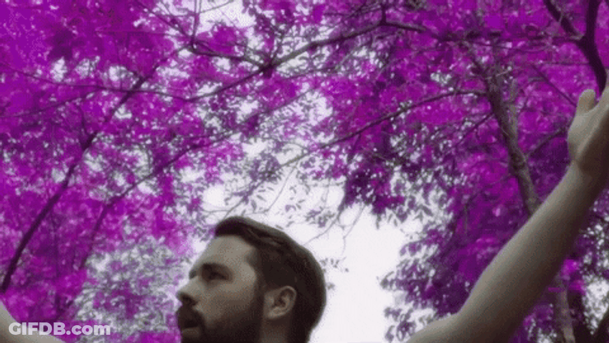 Nature Meditation Spiritual Healing GIF