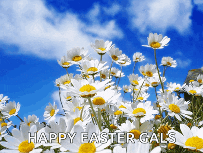 Nature Meme GIF