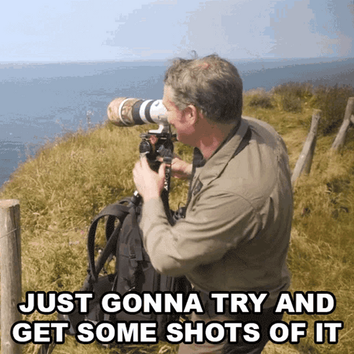 Nature Photography Shoot Session GIF