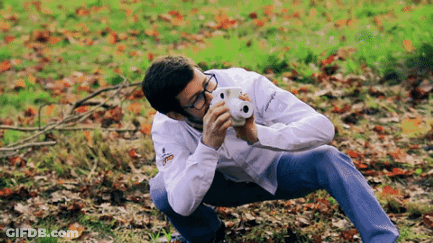 Nature Polaroid Photographer GIF