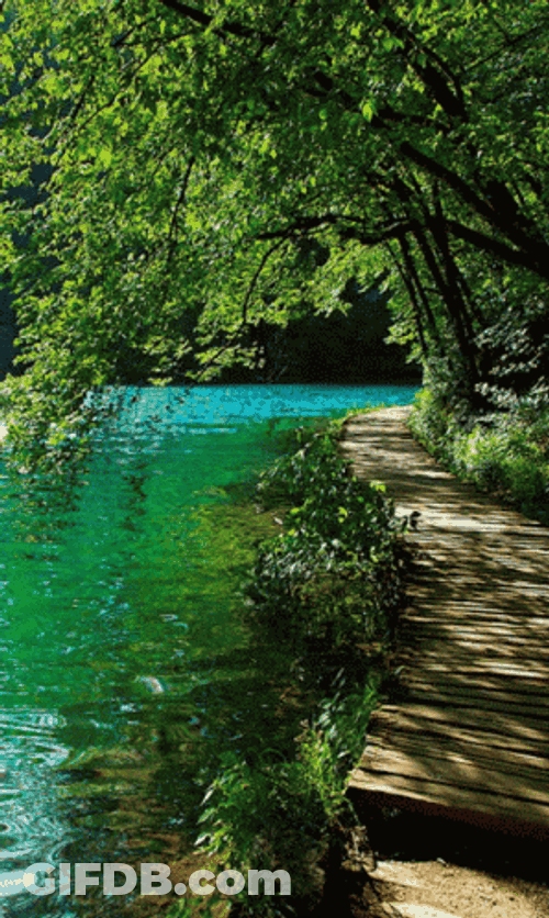 Nature's Blue Lake GIF