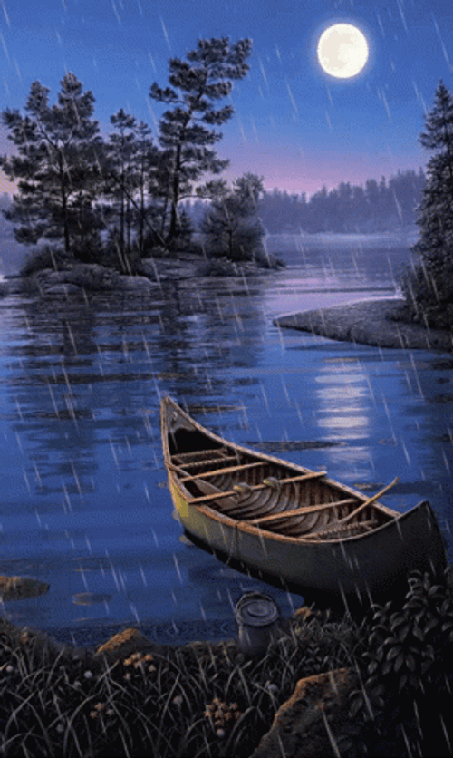 Nature's Night By The Lake GIF