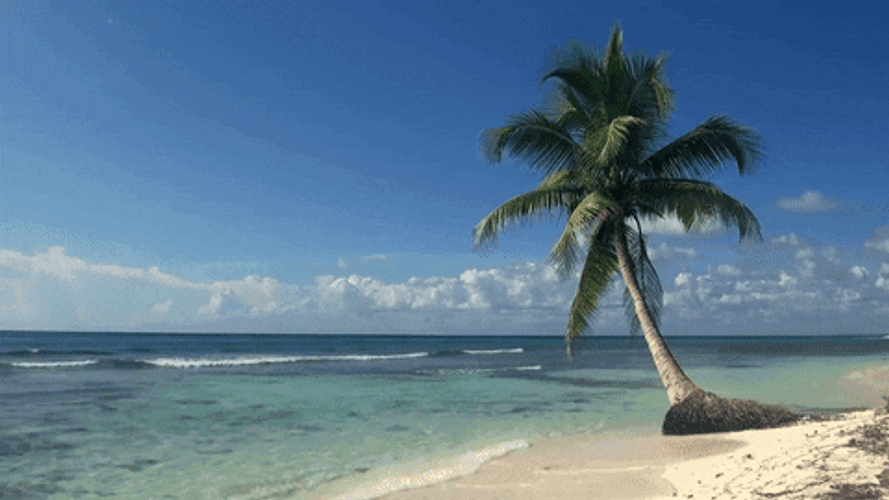 Nature White Sand Beach GIF