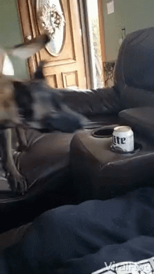 Naughty Dog Beer Can GIF