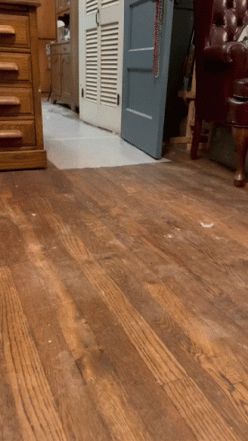 Naughty Duck High Speed Run Meme GIF
