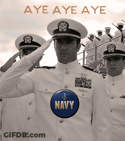 Navy Officers Saluting With Navy Button GIF