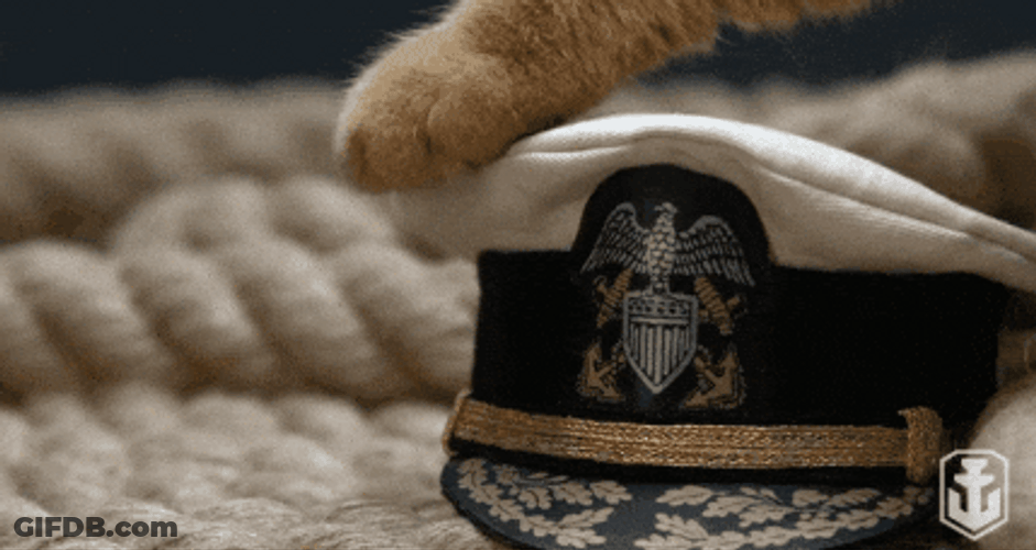 Navy Sailor's Cap Gentle Caress Kitty Paw GIF