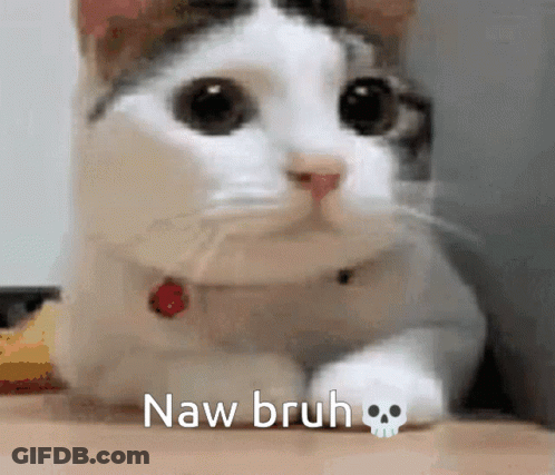 Naw Bruh Funny Memes GIF