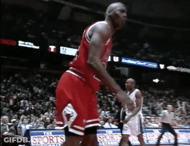 NBA Bulls Excited Michael Jordan GIF