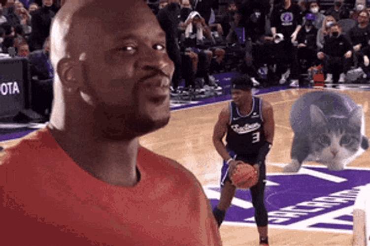 Nba Funny Shaq Cat Meme GIF