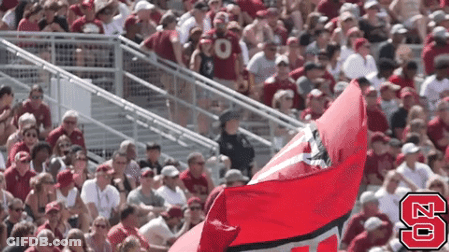Nc State Flag Being Waved GIF