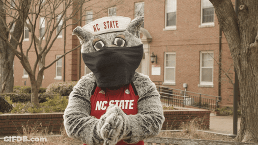 Nc State Mascot Clapping Pointing GIF
