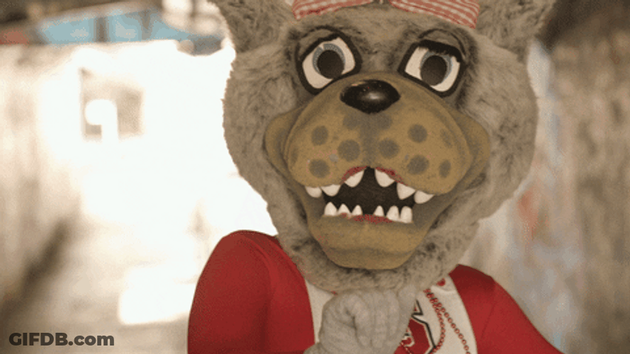 Nc State Mascot Dancing Both Hands Up GIF