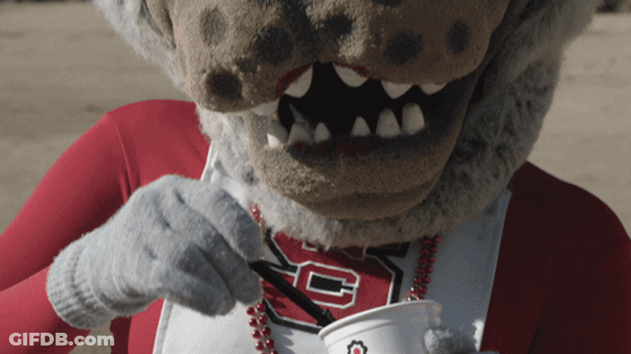 Nc State Mascot Eating Ice Cream GIF