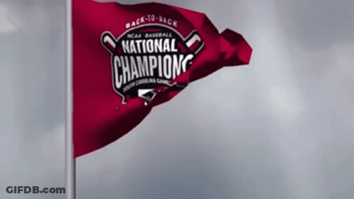 NCAA Baseball National Champions Flag Waving GIF