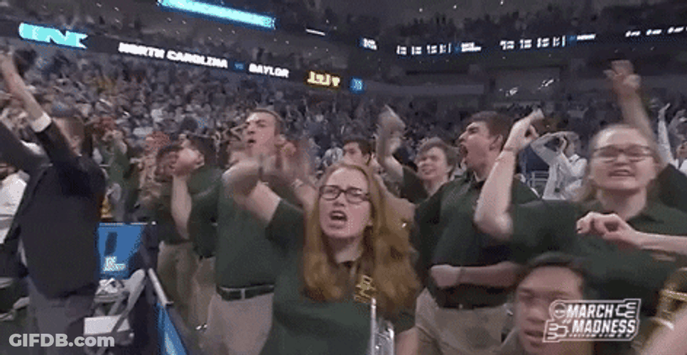 NCAA Baylor University Bear Fans Down Celebrating GIF