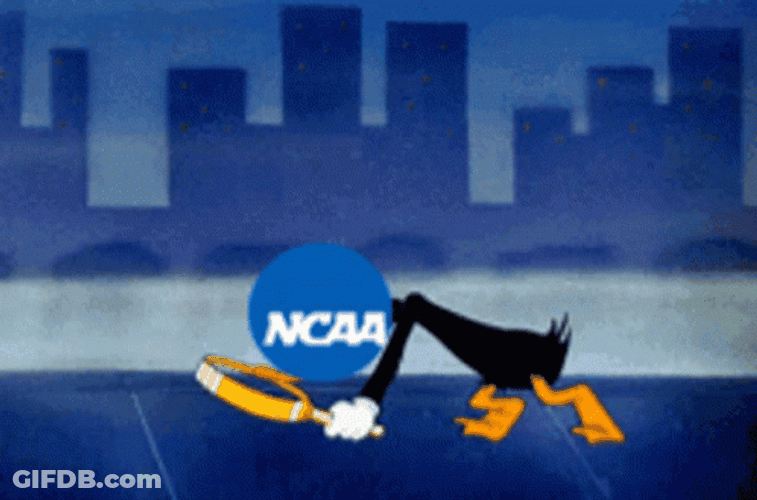 Ncaa Detective Julie Search GIF