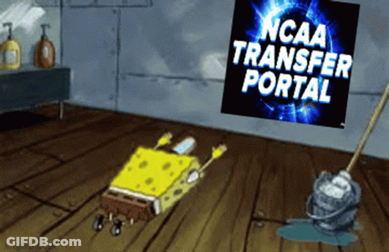 Ncaa Transfer Portal Spongebob Bow Head GIF